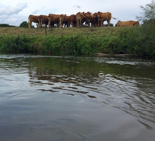 kanovaren geeft mooie natuurbeelden in het Roerdal